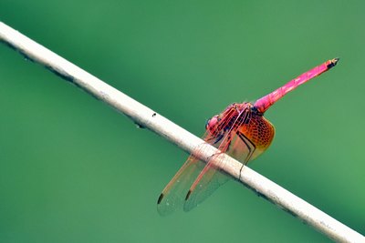 京东影业电影网站