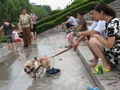 唐三小舞生孩子视频