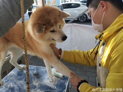 女尊男卑带锁嫁人锁精针