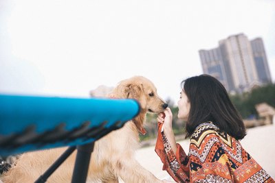 好看的烂片免费观看