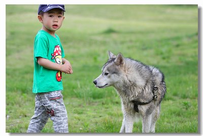 青苹果免费电视剧影院在线